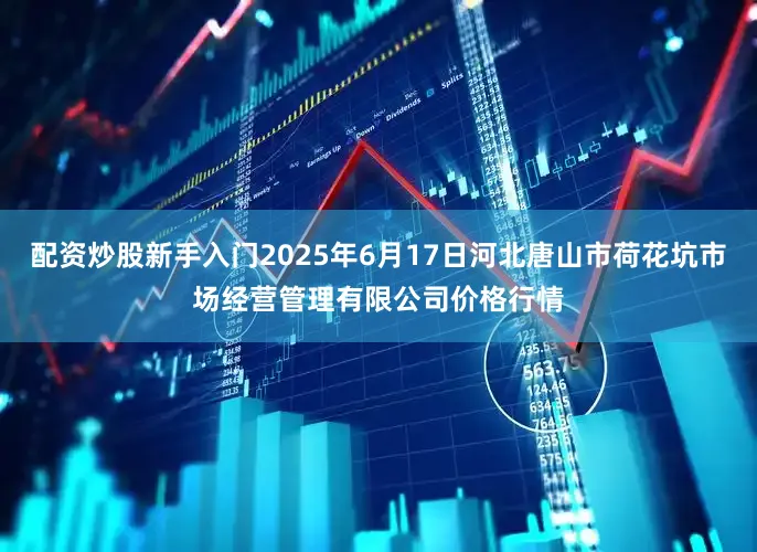 配资炒股新手入门2025年6月17日河北唐山市荷花坑市场经营管理有限公司价格行情