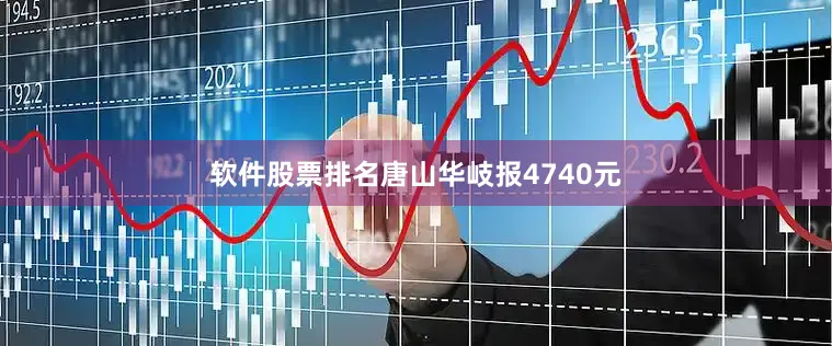 软件股票排名唐山华岐报4740元