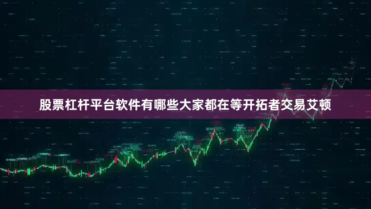 股票杠杆平台软件有哪些大家都在等开拓者交易艾顿